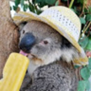 Meet your Posher, Marcus